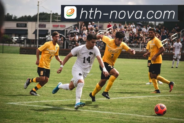 华体会APP助力用户畅享体育赛事全程直播和精彩互动体验